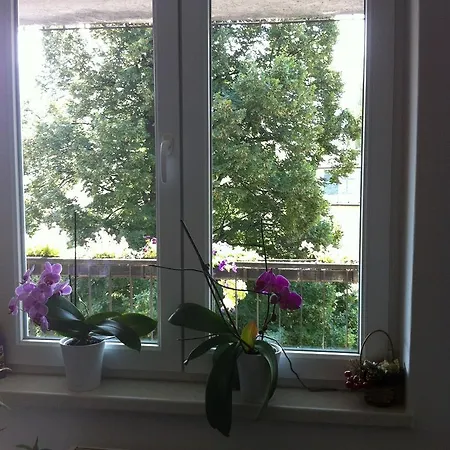 Appartamento Violet *